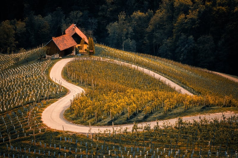 Mythical Land